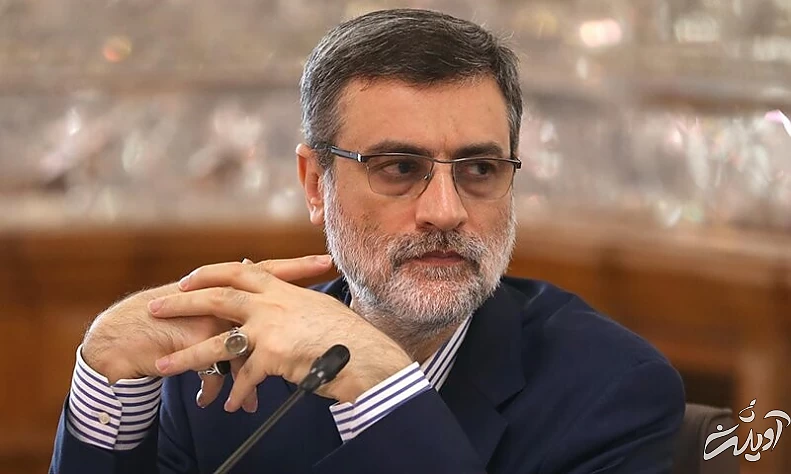 امیرحسین قاضی زاده هاشمی